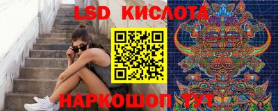 шишки Гусев