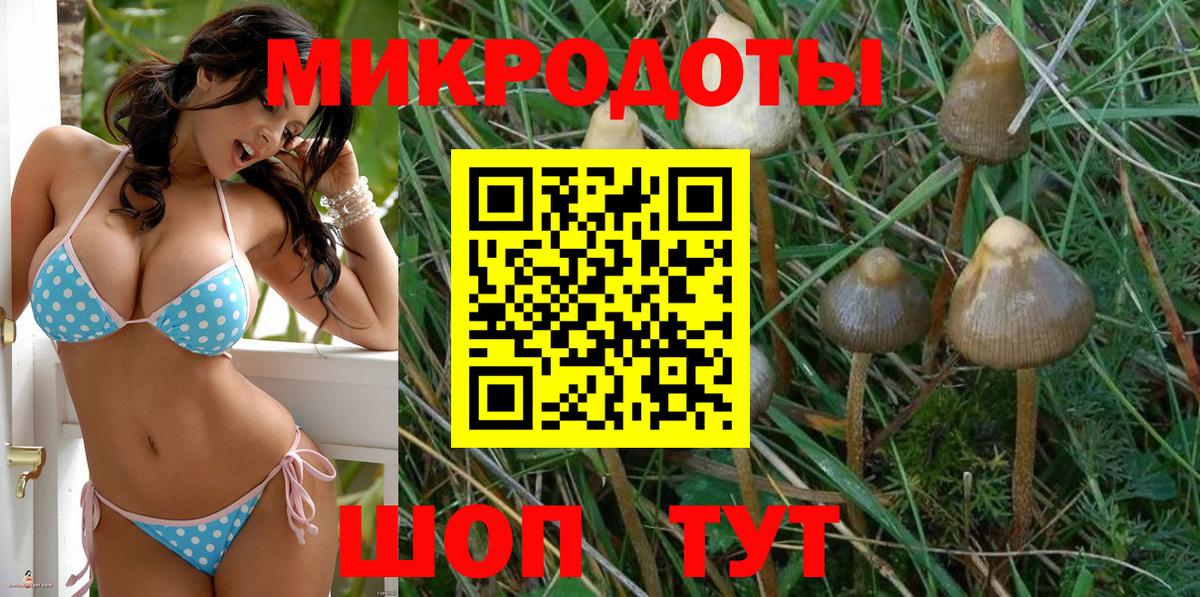 Галлюциногенные грибы мухоморы Чехов
